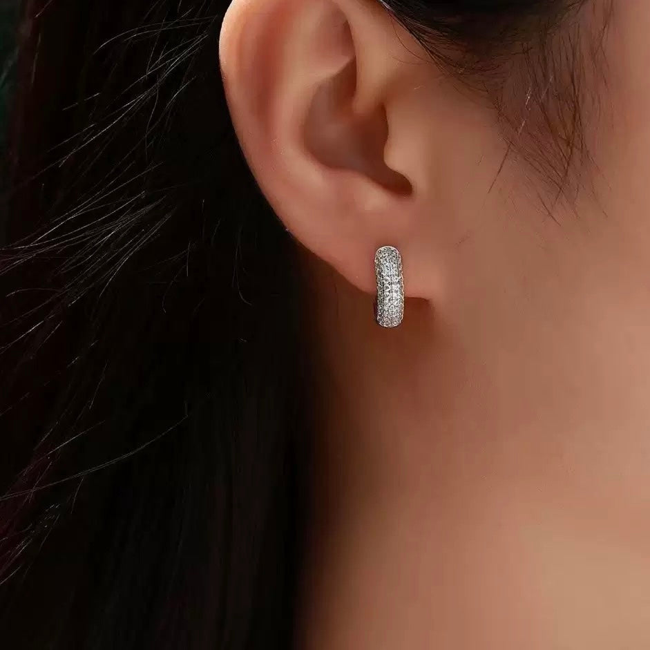 Shiny Moissanite Hoop Earrings