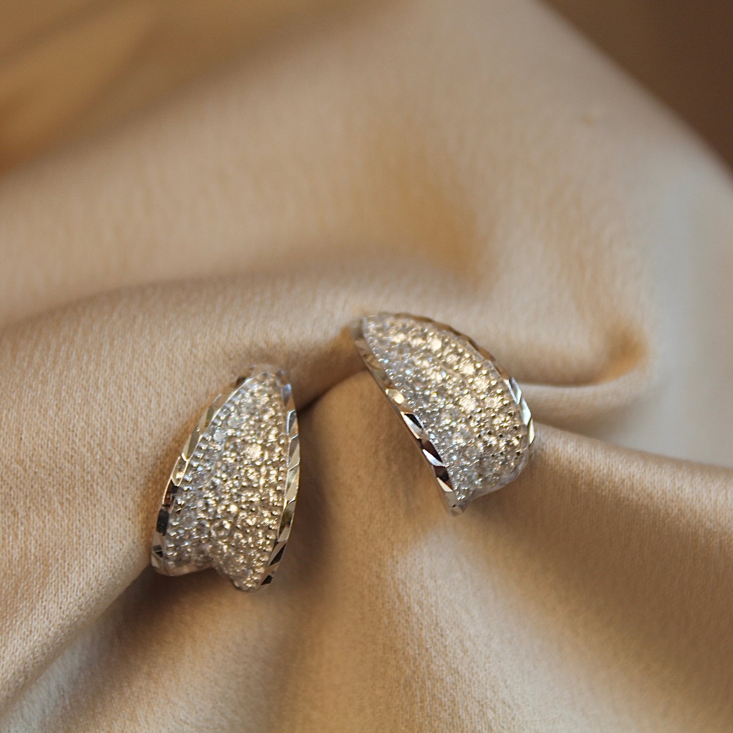 Sparkling Earrings