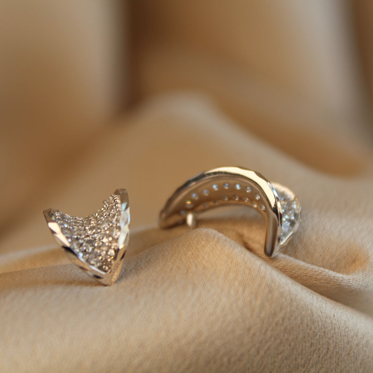 Sparkling Earrings