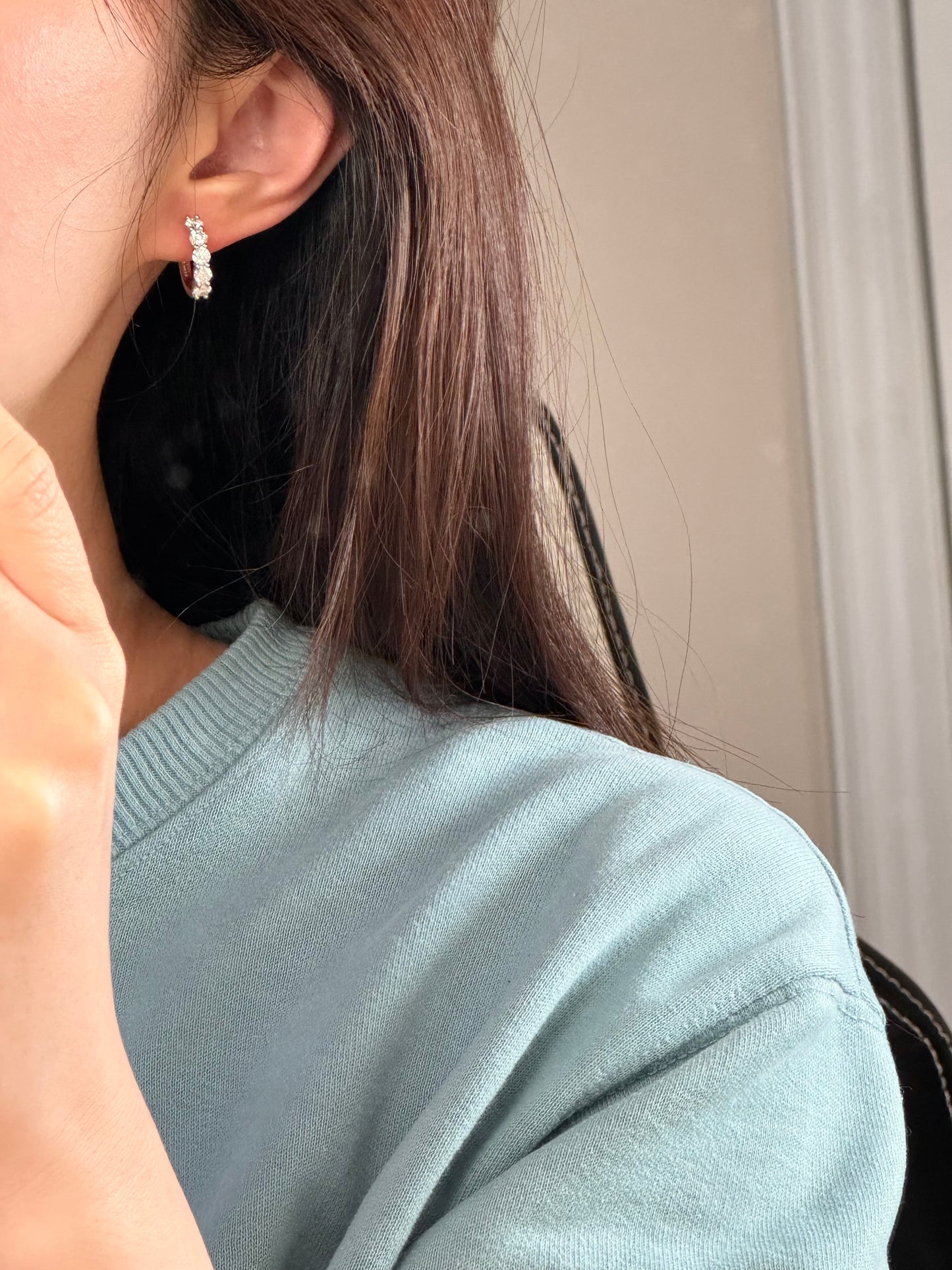 Circle Moissanite Hoop Earrings