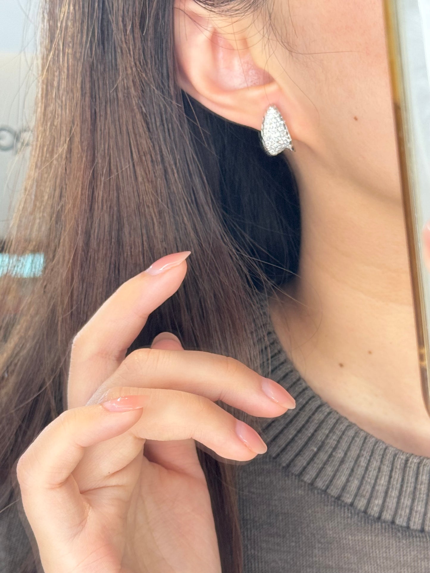 Sparkling Earrings