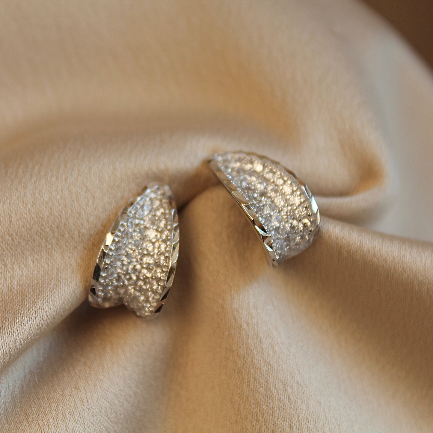 Sparkling Earrings