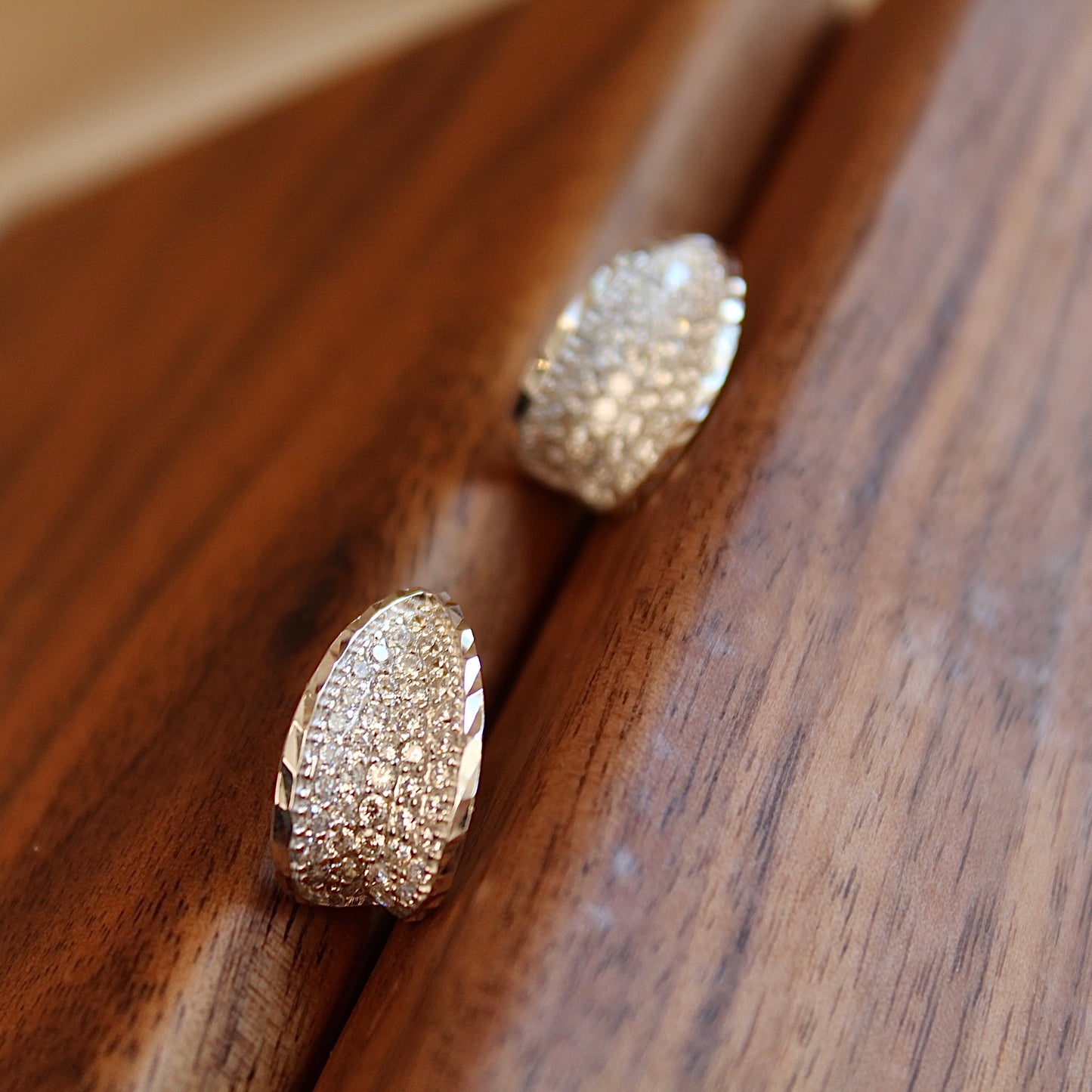Sparkling Earrings