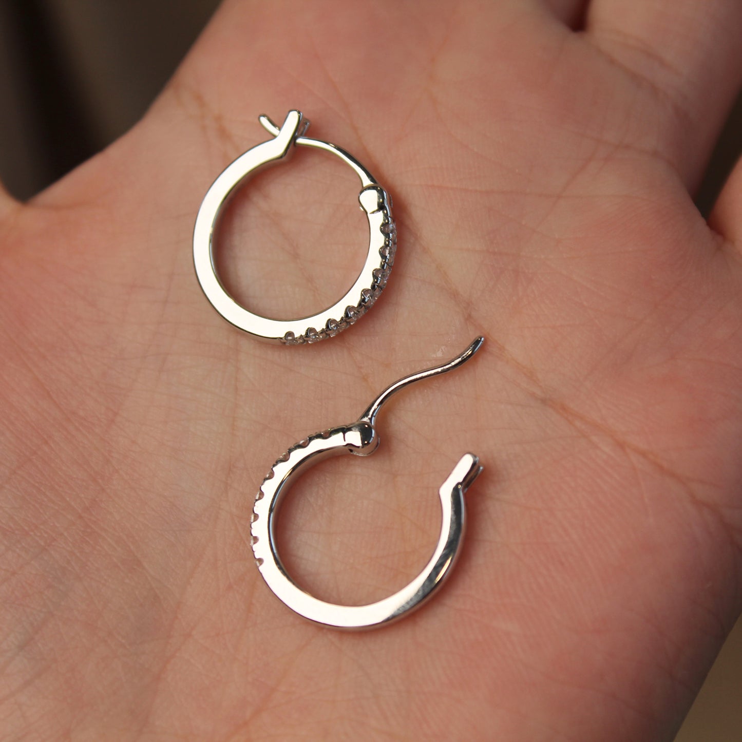 Round Moissanite Circle Hoop Earrings