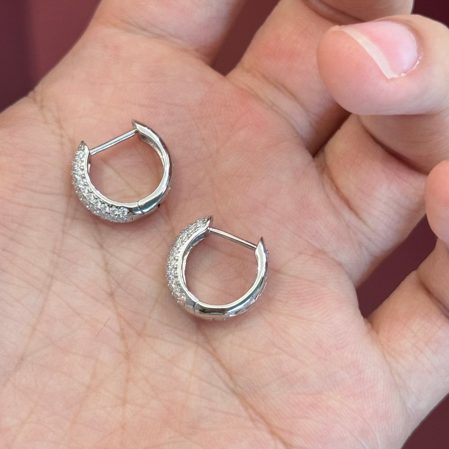 Shiny Moissanite Hoop Earrings