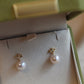14K Solid Gold Ginkgo Leaf Natural Pearl Earrings