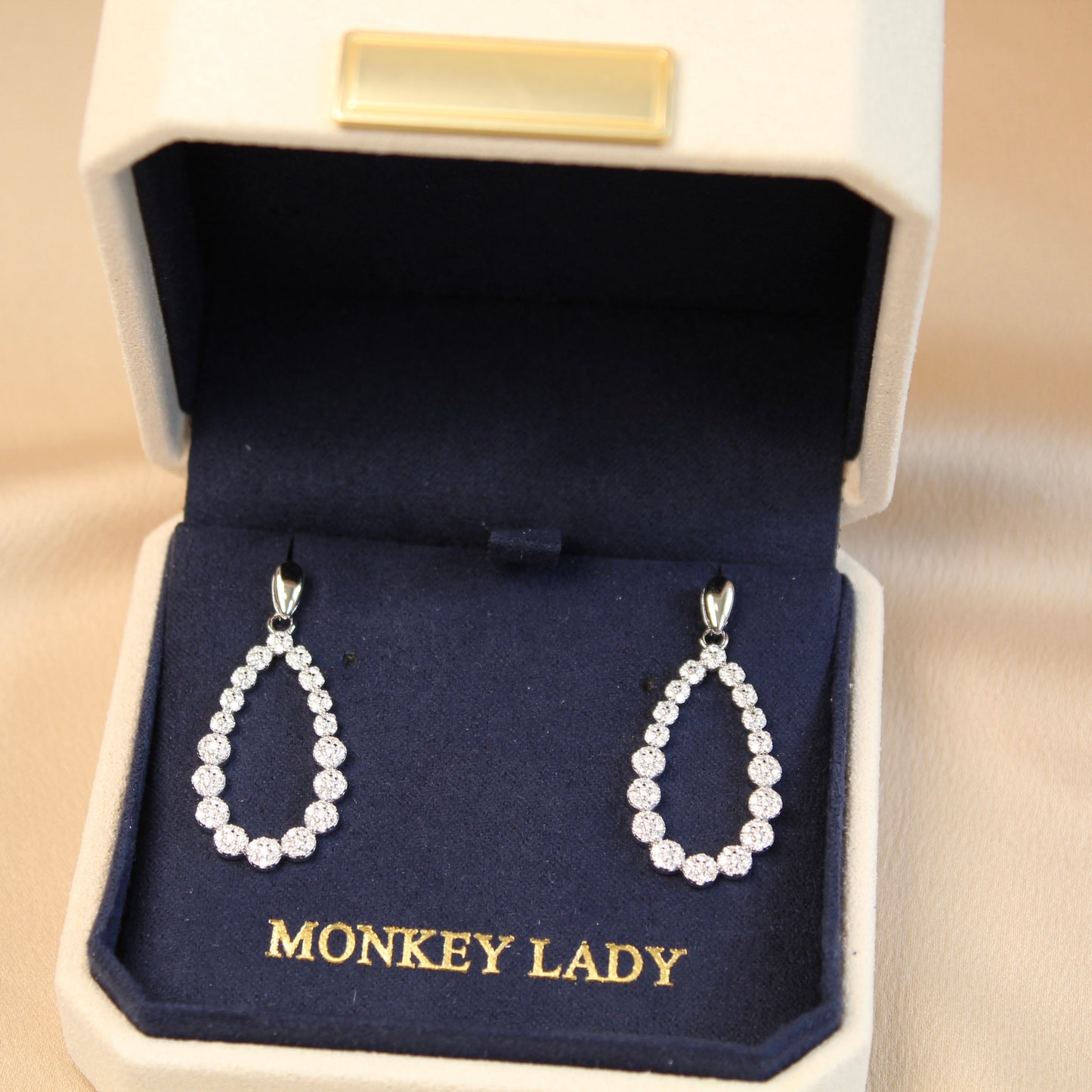Bubble WaterDrop Moissanite Earrings