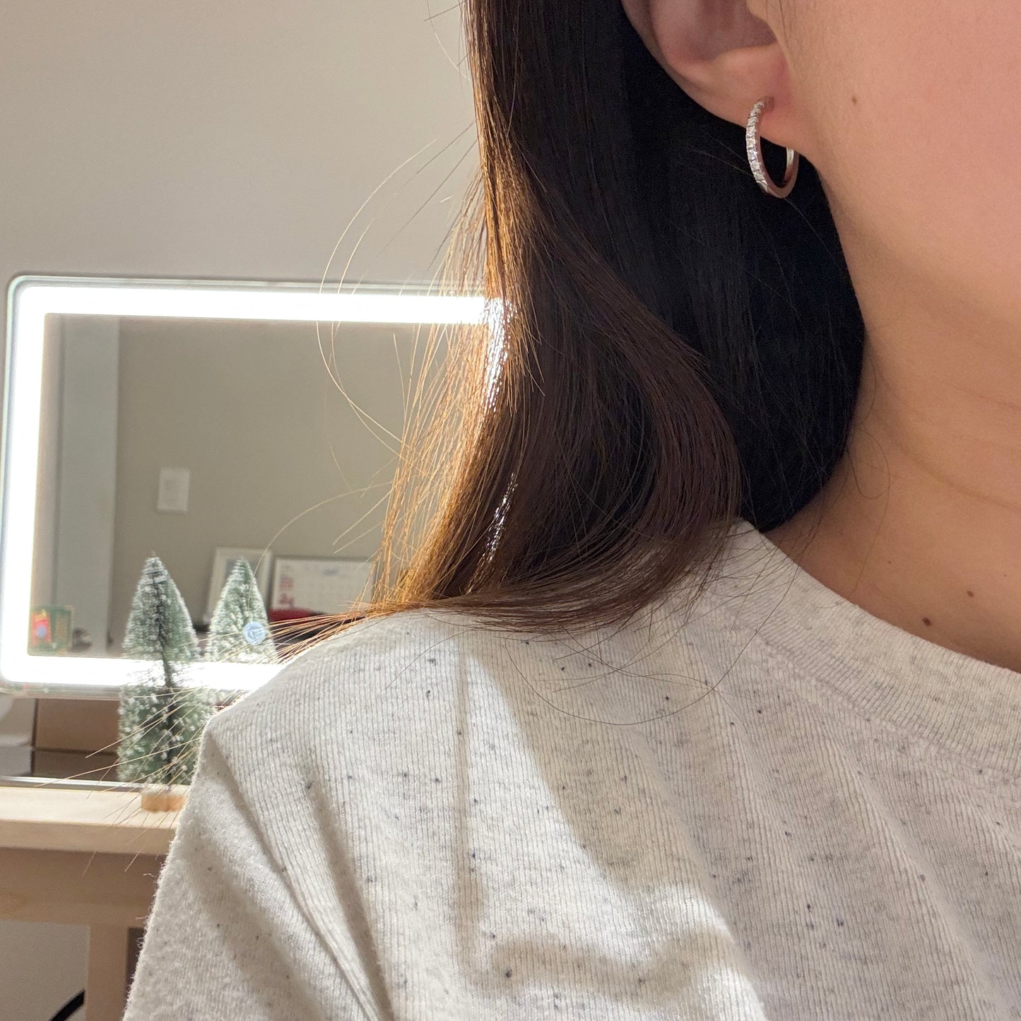 Round Moissanite Circle Hoop Earrings